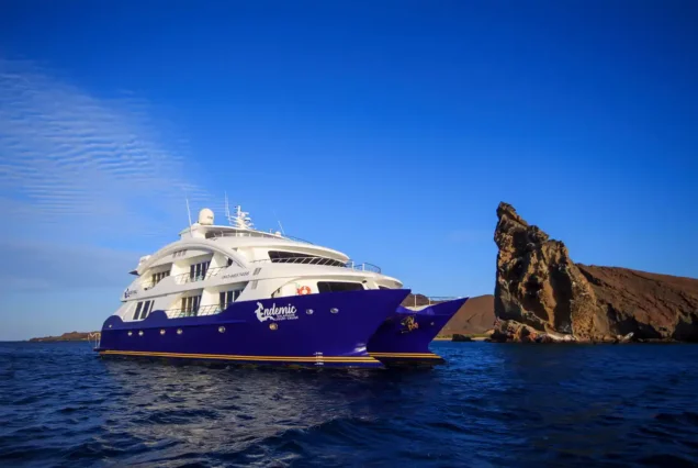 endemic-luxury-catamaran-2