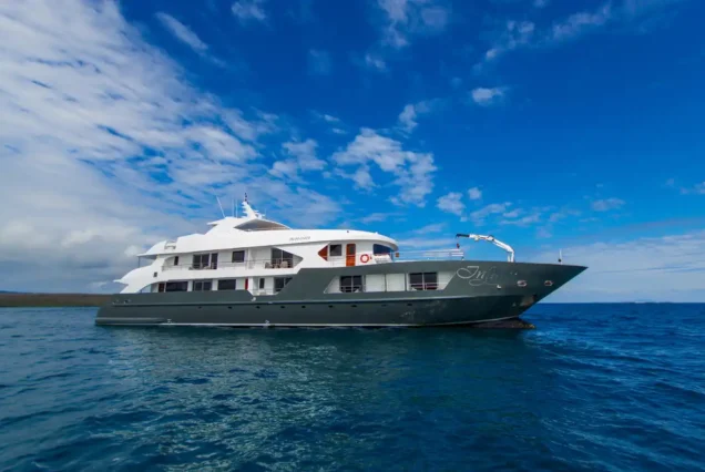 infinity-exterior1
