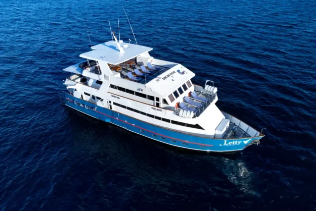 Letty Cruise Ship